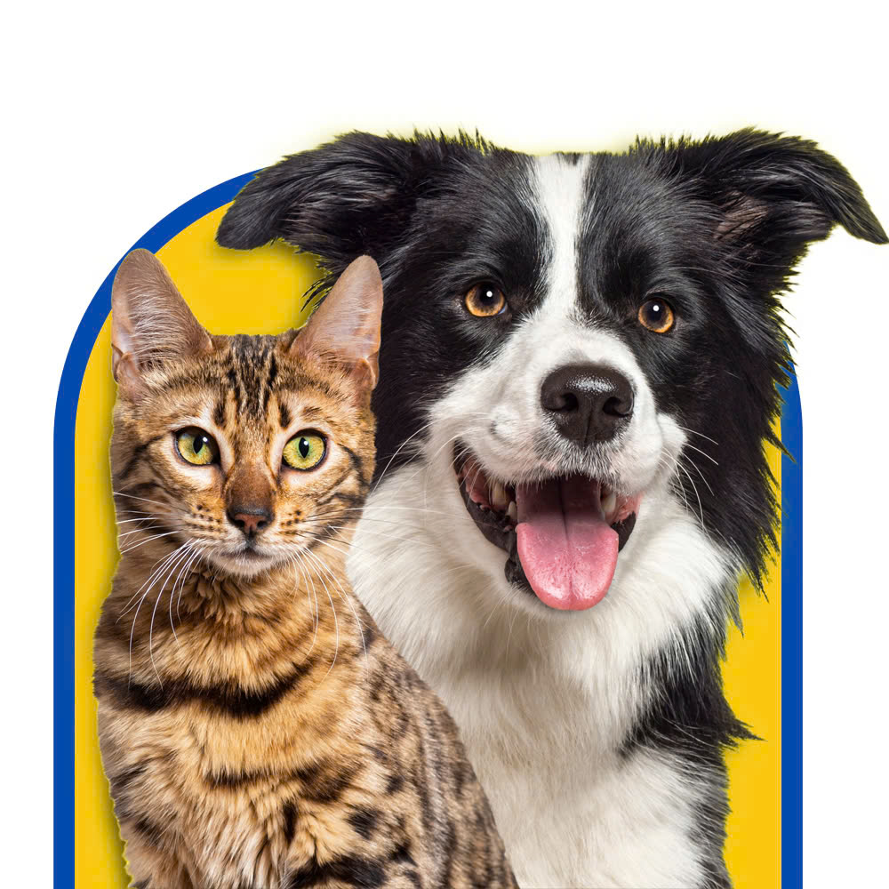 Hình ảnh minh hoạ của trang chủ 1