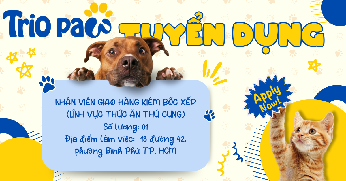 THÔNG BÁO TUYỂN DỤNG NHÂN VIÊN GIAO HÀNG KIÊM BỐC XẾP