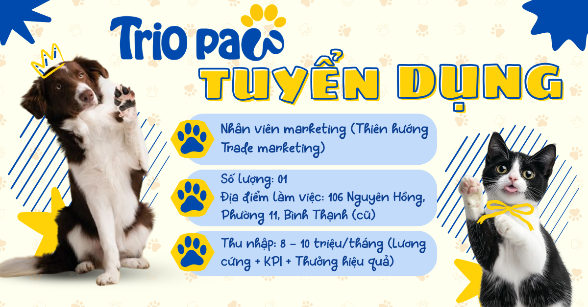 THÔNG BÁO TUYỂN DỤNG VỊ TRÍ NHÂN VIÊN MARKETING