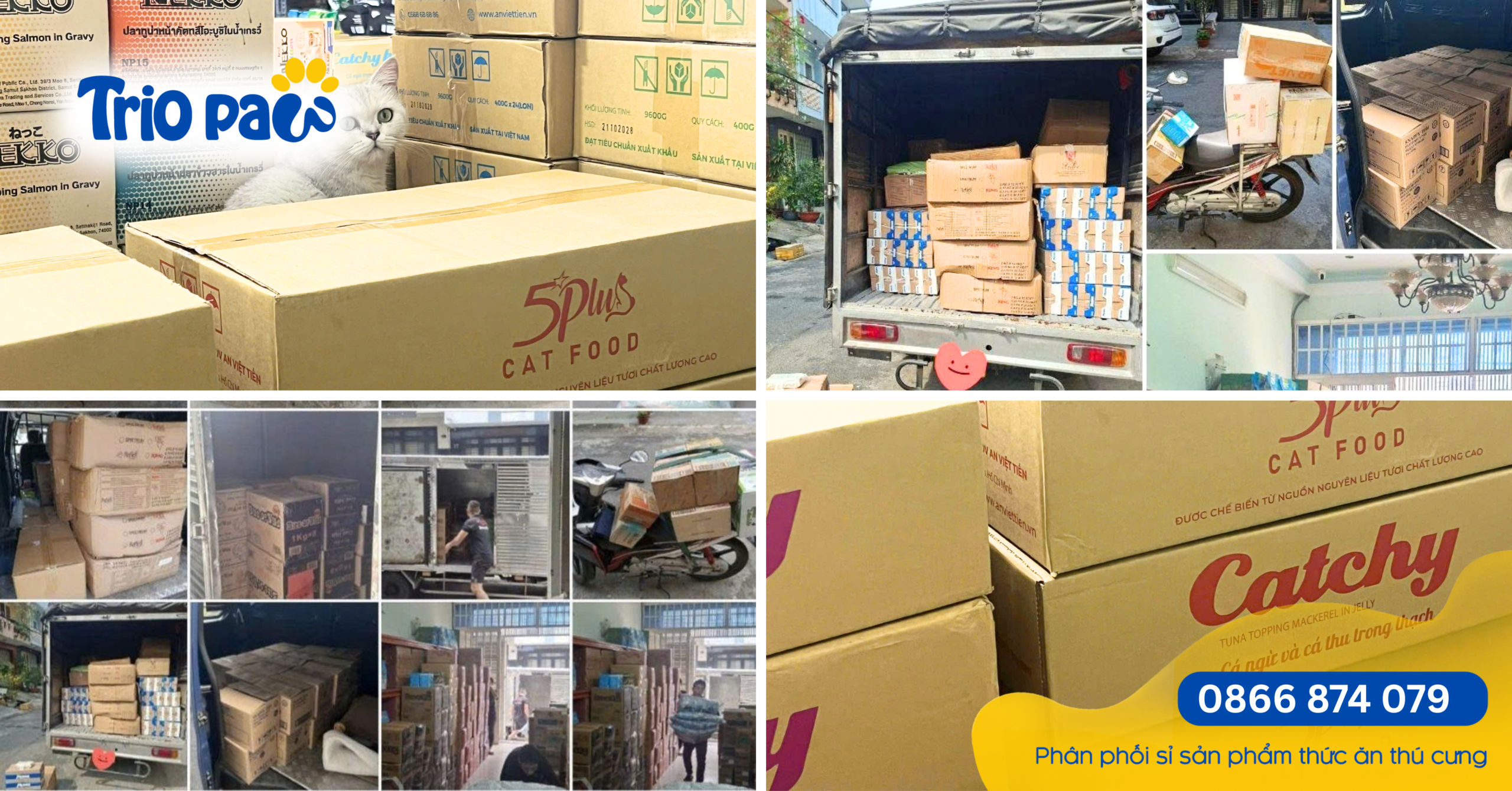NHẬP SỈ PATE CATCHY GIÁ TỐT CHO PET SHOP TP.HCM